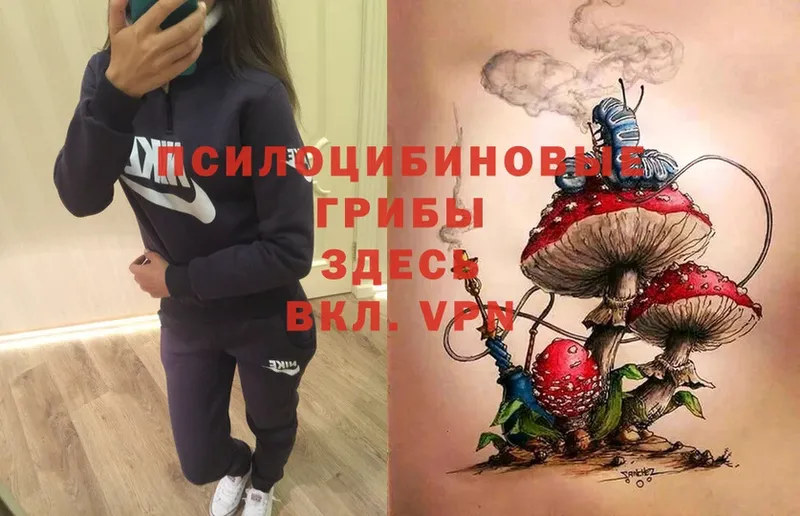 Галлюциногенные грибы MAGIC MUSHROOMS  где купить наркоту  Макушино 